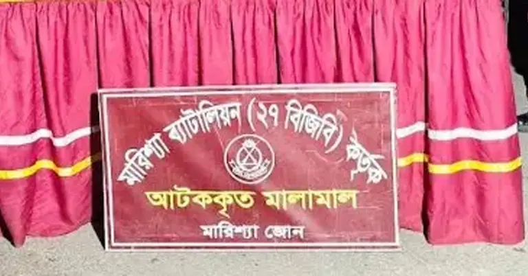 রাঙামাটির বাঘাইছড়িতে বিজিবির অভিযান